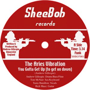 THE ARIES VIBRATION - You gotta get up (to get on down) - 7inch (SP)