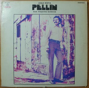 PELLIN RODRIGUEZ - Sus mejores boleros - LP