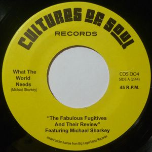 THE FABULOUS FUGITIVES AND THEIR REVIEW FEAT. MICH - What the world need / You made me cry - 7inch (SP)