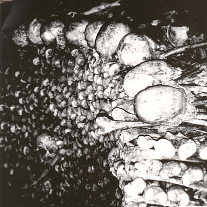 BLACK BLOOD - Cryptic Rituals - CD