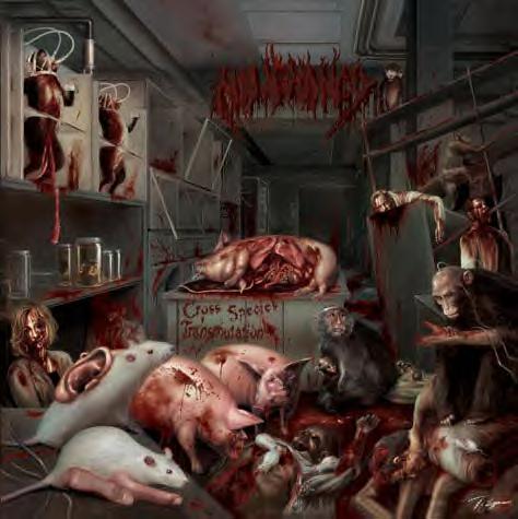 MALIGNANCY - Cross Species Transmutation - MCD