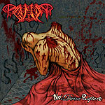 PAGANIZER - No divine rapture - CD