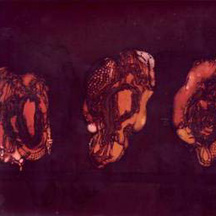 DEATHSPELL OMEGA - Kenose - CD