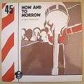 ERIC FRAMOND - Now and tomorrow - LP