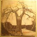 ORCHESTRE BAOBAB GOUYGUI DE DAKAR - Same - LP