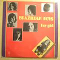 BRAZILIAN BOYS - Hey girl - LP