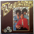 BLOSSOMS - Shockwave - LP