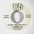 A DIFFERENT BAG - Mother fudge-cicle - 7inch x 1