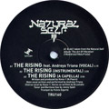 NATURAL SELF - The Rising - 12 inch 45 rpm