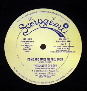 THE SHADES OF LOVE - Come and make me feel good - 12 inch 45 rpm