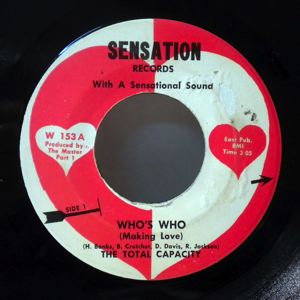 THE TOTAL CAPACITY - Who's who - 7inch (SP)