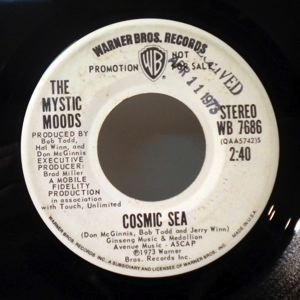 THE UPSTARTS - Get it together - 7inch (SP)