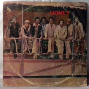 THE APOSTLES - Honey - LP