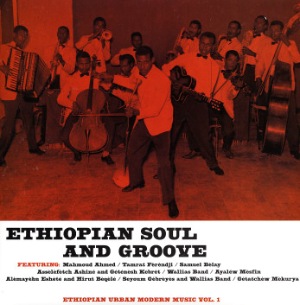 VARIOUS - Ethiopian Soul And Groove - LP