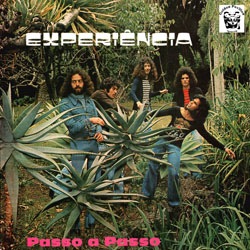 EXPERIENCIA - Passo a passo - LP