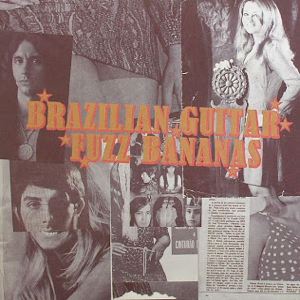 VARIOUS - Brazilian Guitar Fuzz Bananas - LP x 2