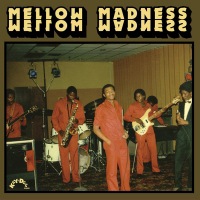 MELLOW MADNESS - Same - LP