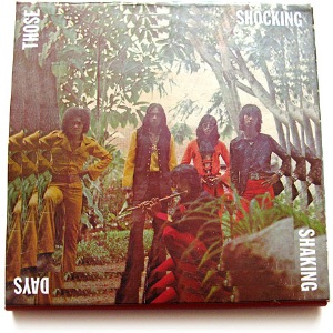 VARIOUS - Those shocking shaking days - LP Box Set