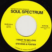 STEVENS & FOSTER - I want to be love - 7inch (SP)